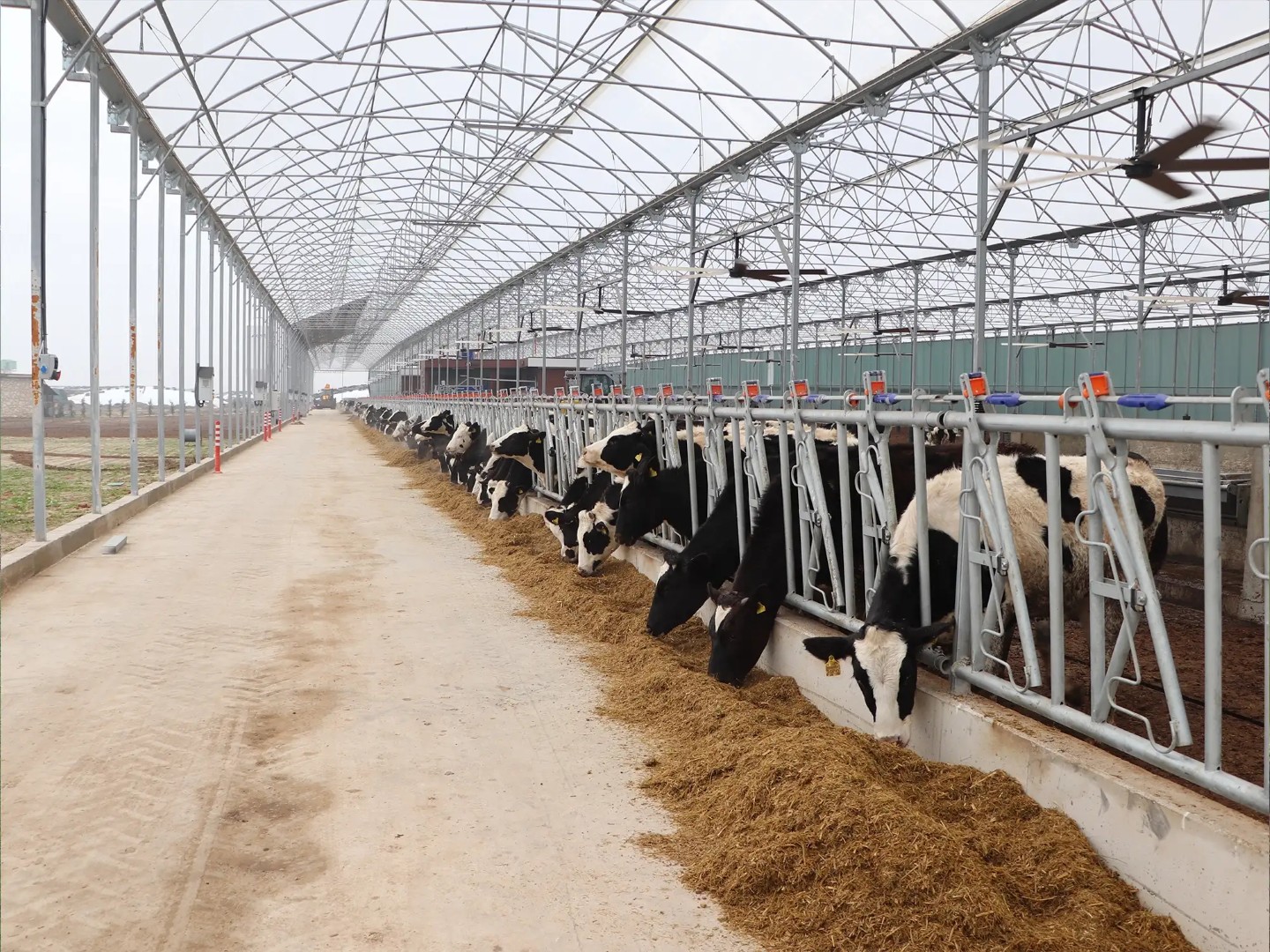 Yem karıştırma ve dağıtım