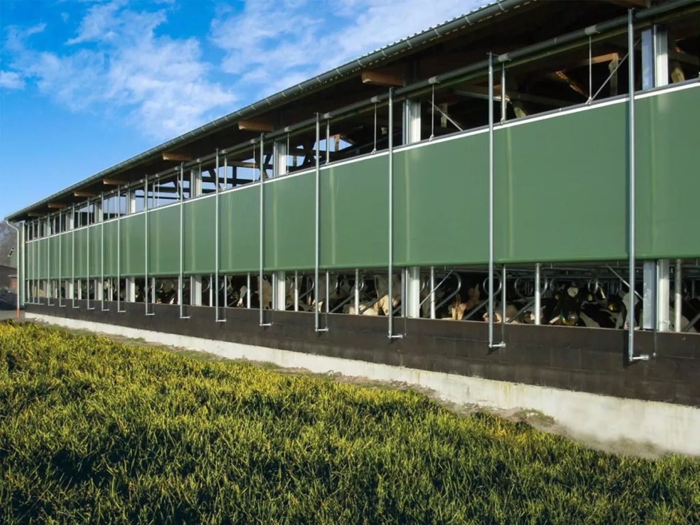 Heifer House çözümleri