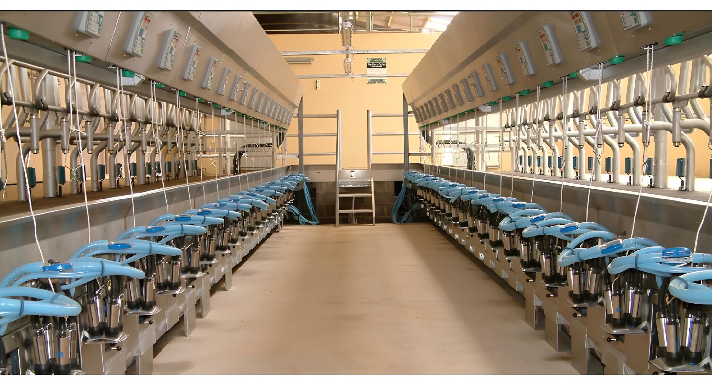 Heifer House proje görseli